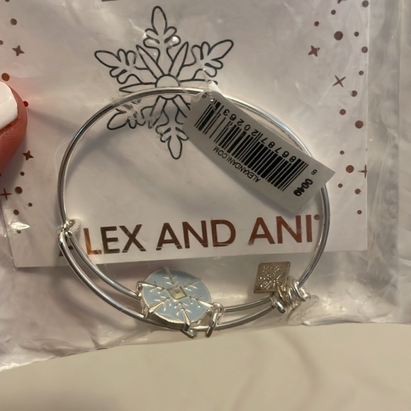 Alex and Ani Silver Bangle Bracelet - Picture 3 of 3
